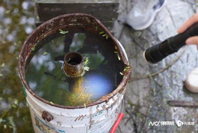 广东倡议：每日三分钟翻盆倒罐清积水不给伊蚊产卵孳生机会